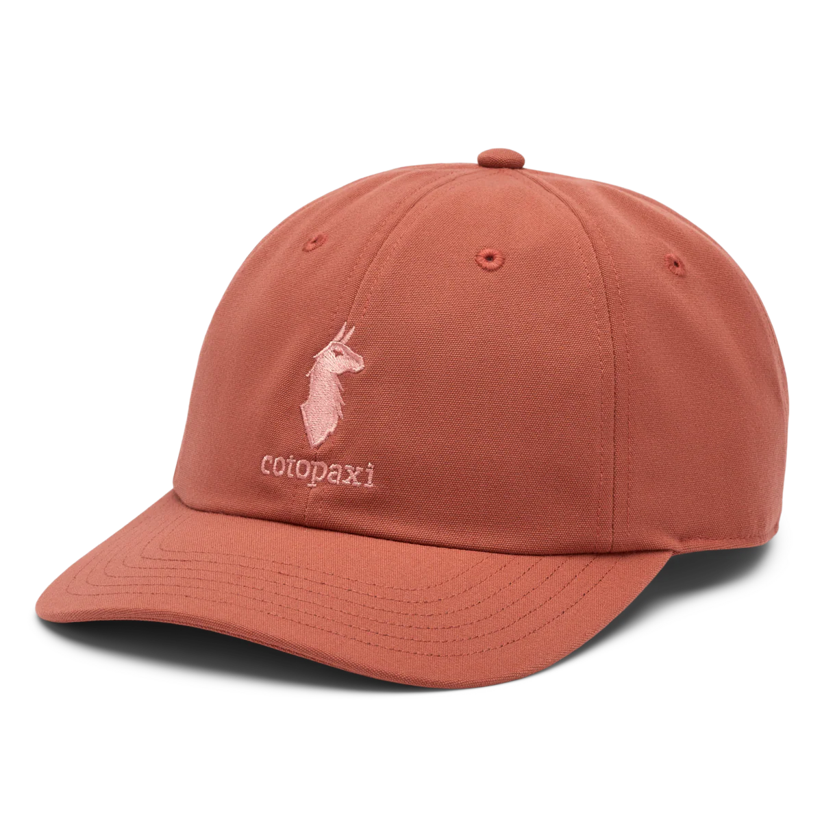 Cotopaxi Dad Hat - Image 7